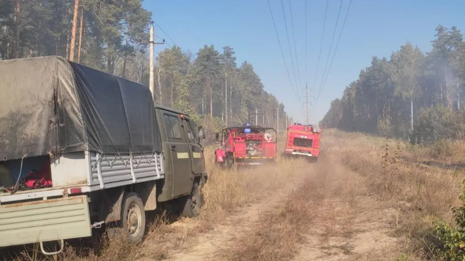 Фото: t.me/mosoblcomles