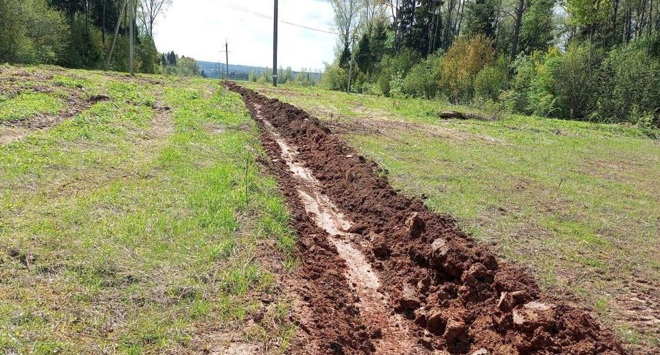Минерализованные полосы обустроили в 10 из 19 лесничеств Подмосковья с января