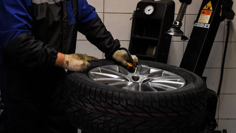 Фото: Медиаархив Подмосковья