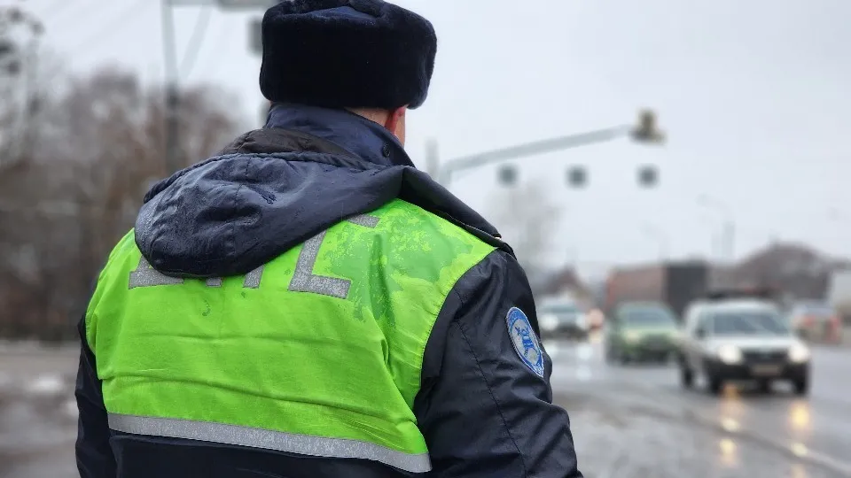 Фото: МедиаБанк Подмосковья/Ксения Пашуто