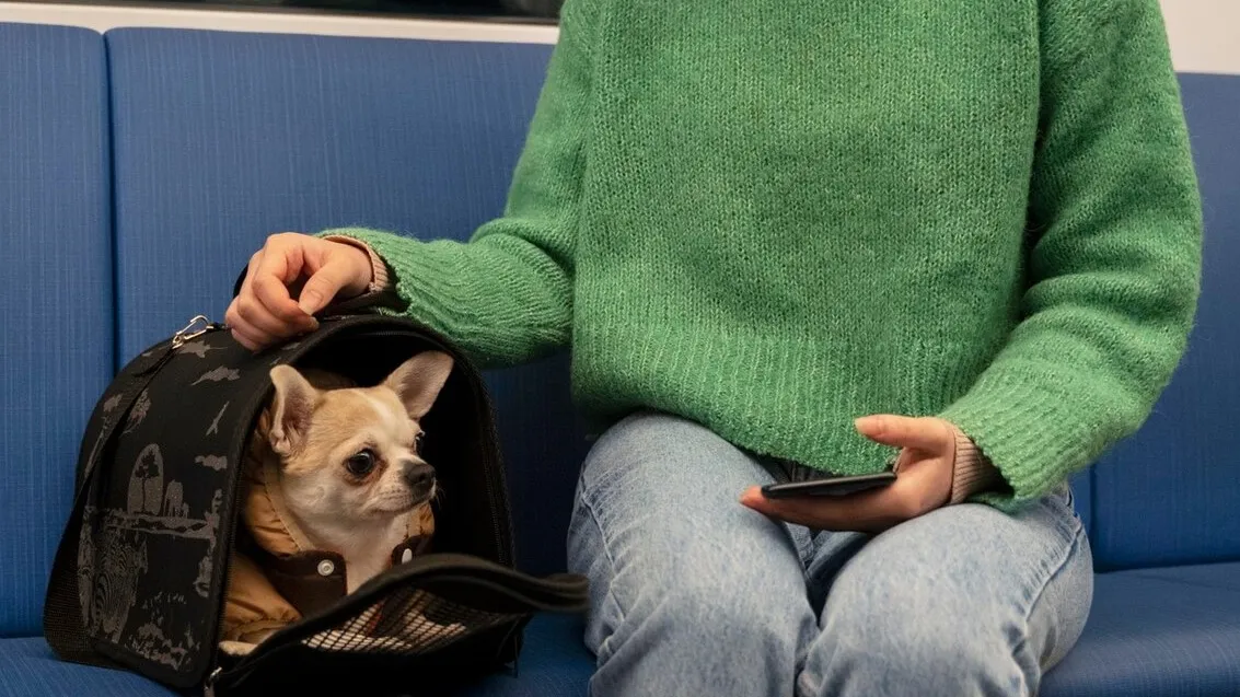 Фото: freepik.com