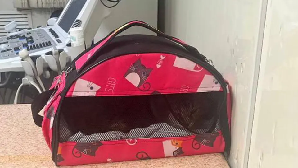 Фото: Министерство сельского хозяйства и продовольствия Московской области