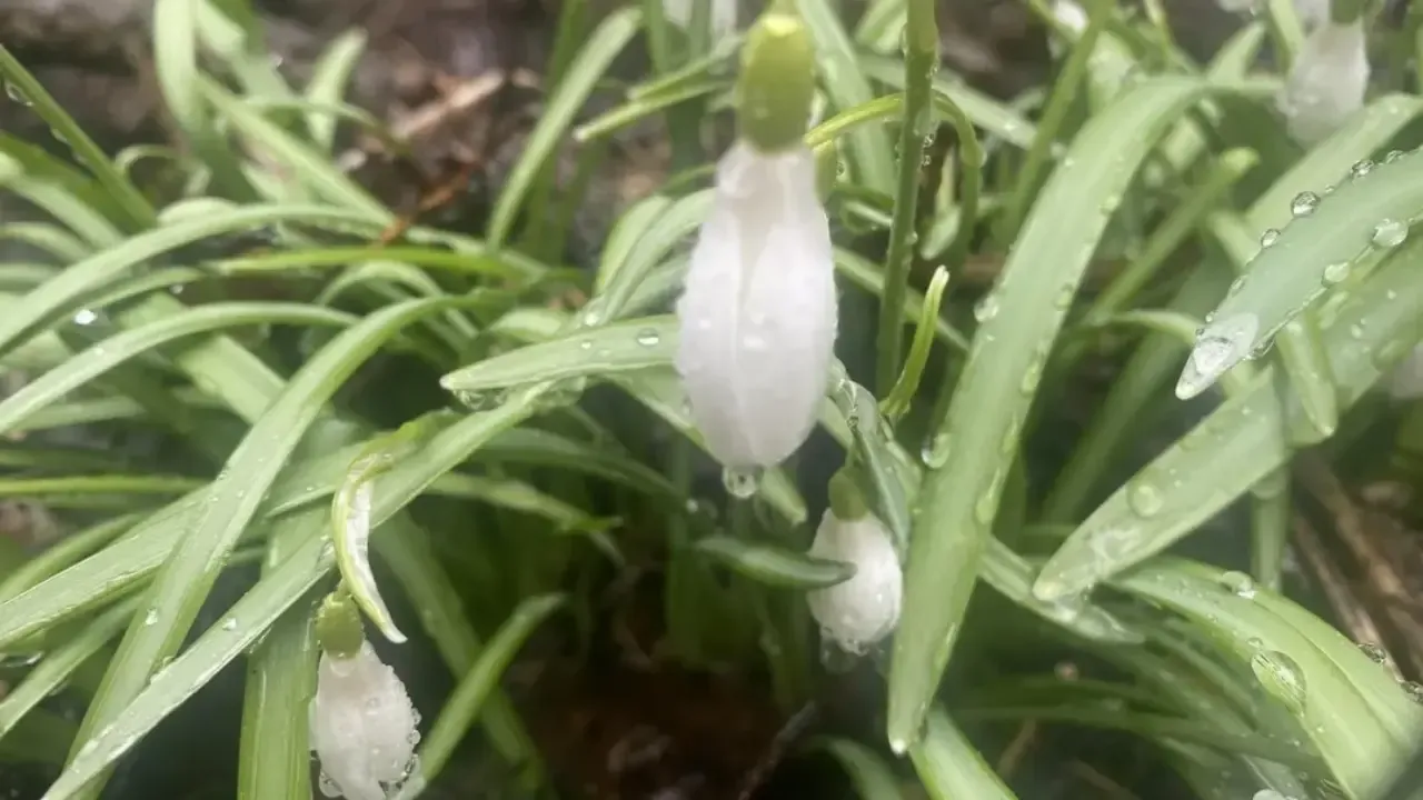 пресс-служба нацпарка «Лосиный остров»