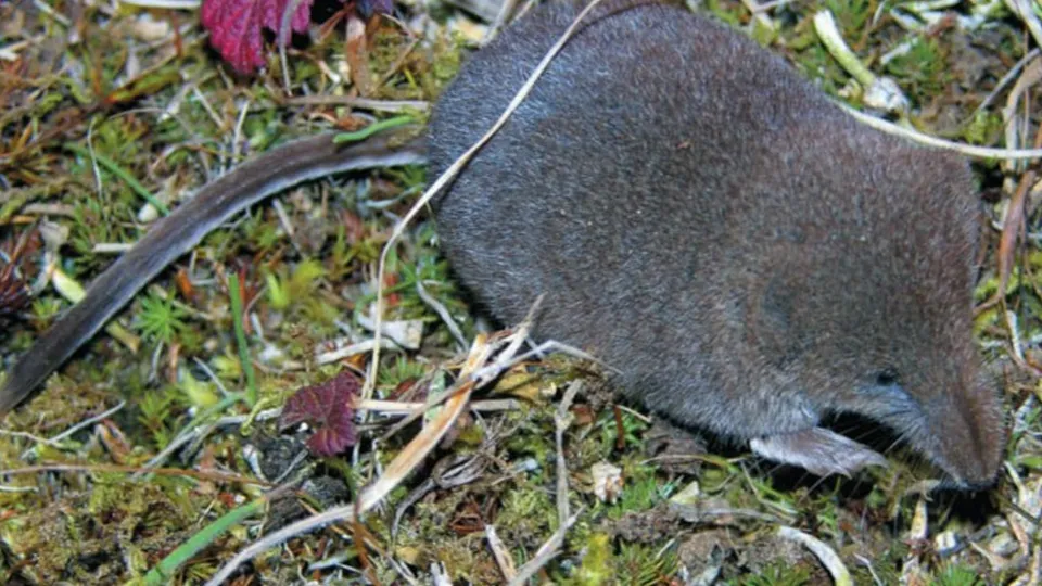 Фото: Министерство экологии и землепользования Московской области