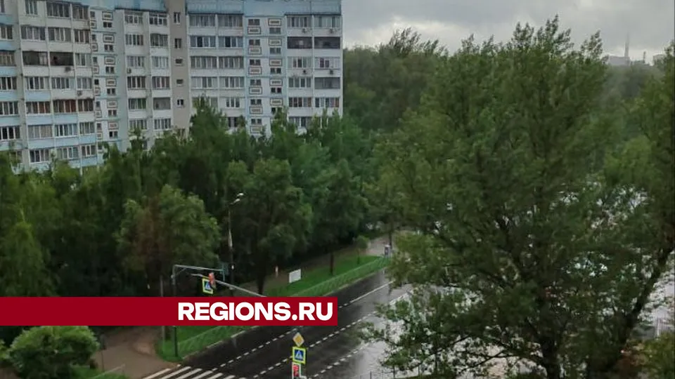 Фото: REGIONS/Юлия Алабина