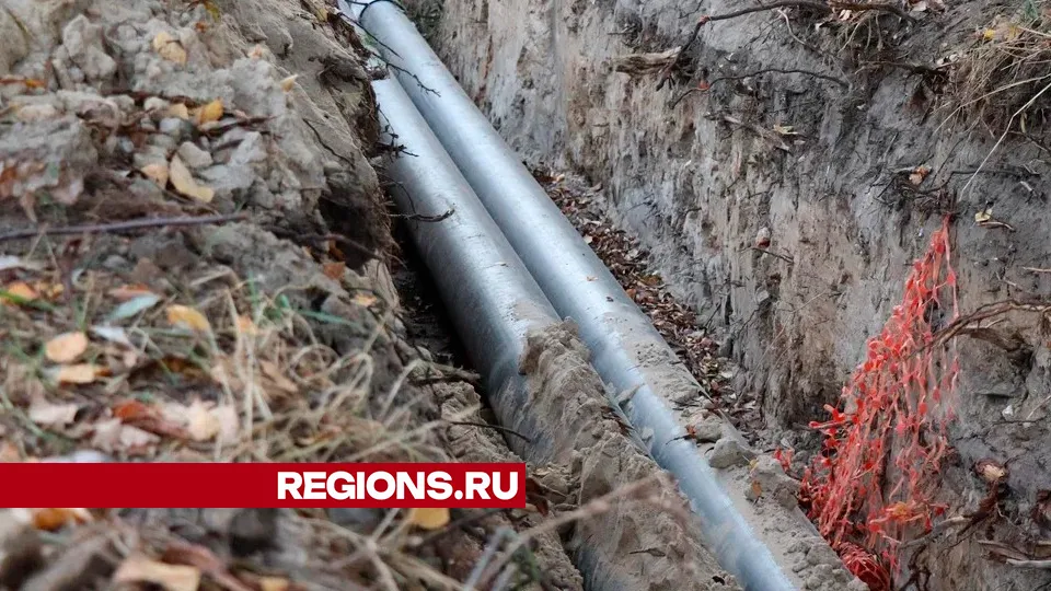 Фото: REGIONS/Василий Тремасов