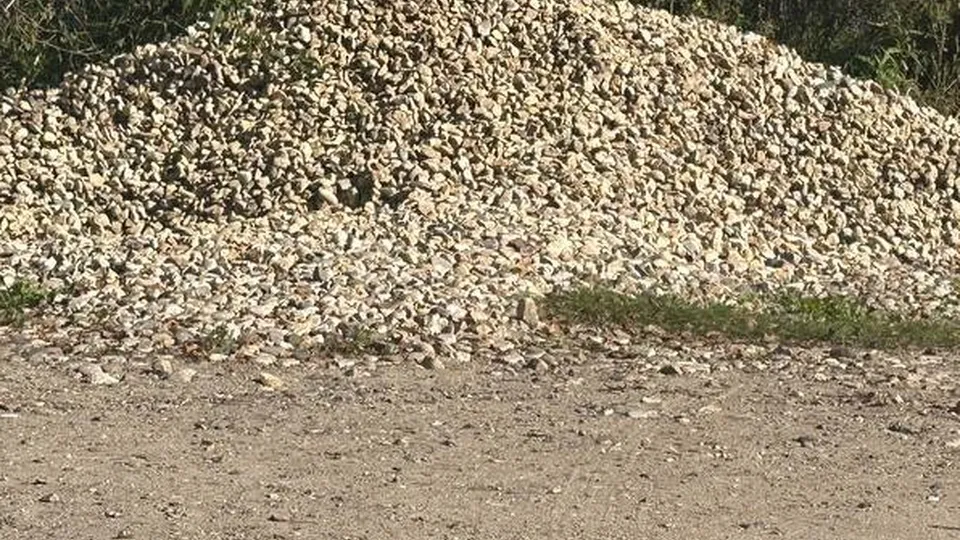 Фото: Александра Серова