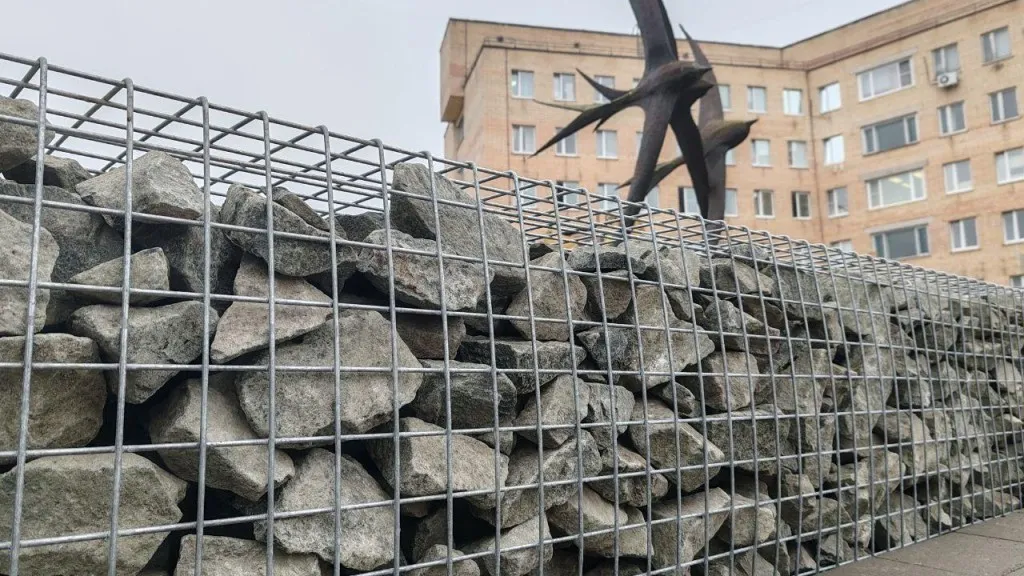 Фото: пресс-служба администрации г.о. Черноголовка