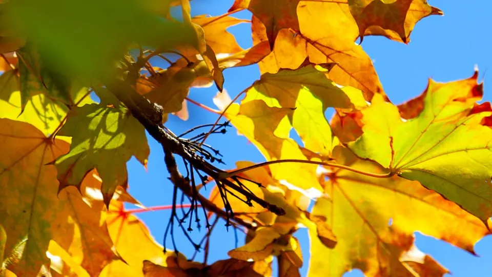 Фото: REGIONS/Роман Малышенко