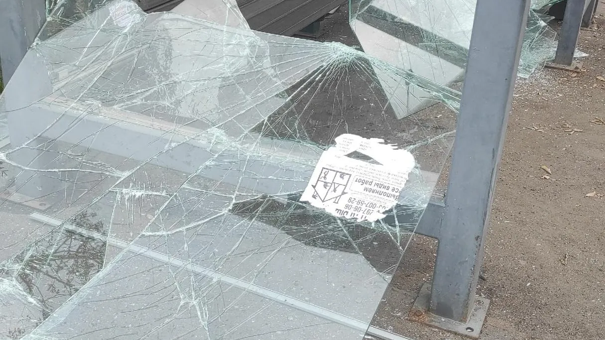 Фото соцсети.