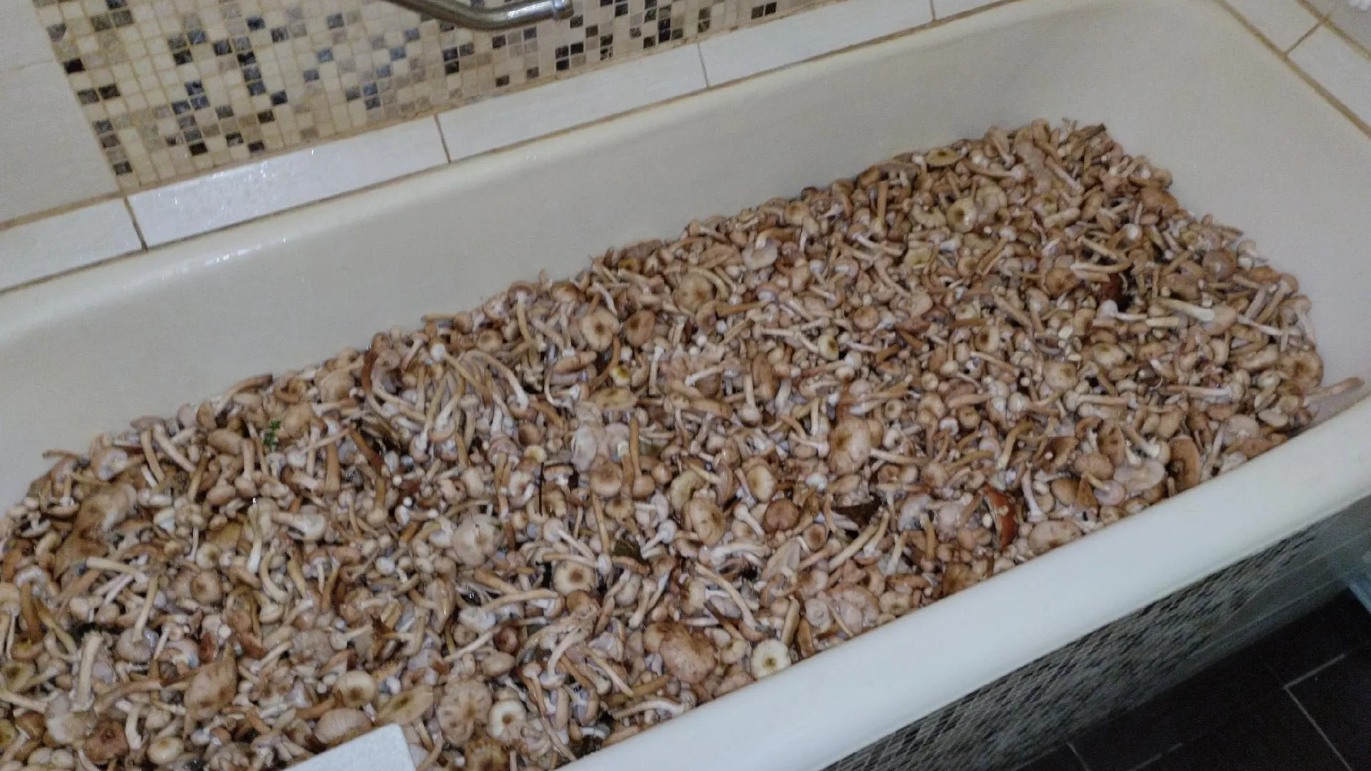 Фото: Типичное Тучково / Вконтакте