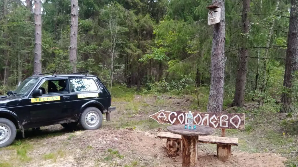 Комитет лесного хозяйства Московской области