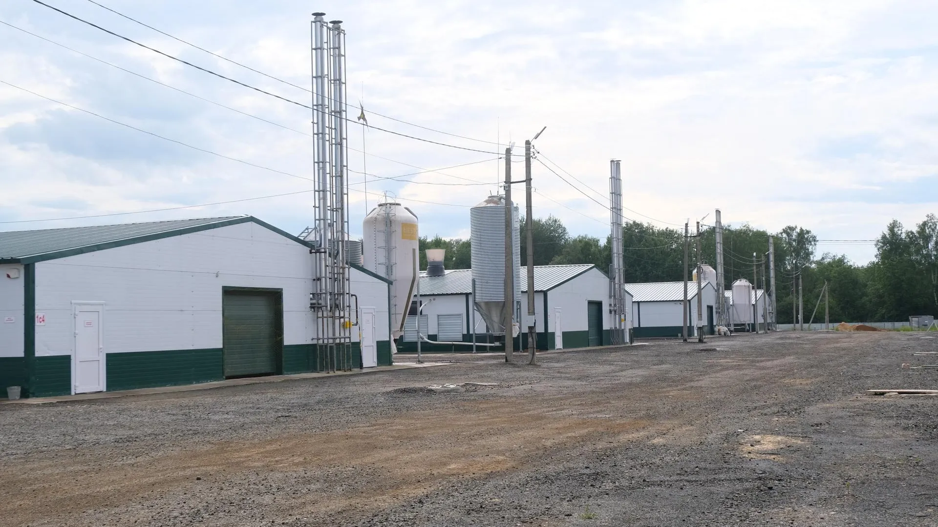 Фото: администрация городского округа Шаховская