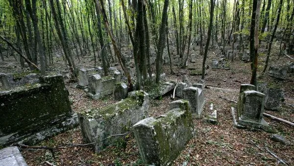 На закрытых кладбищах Ленинского района нашли новые захоронения 