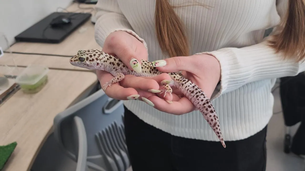 REGIONS/Валерий Гореловский