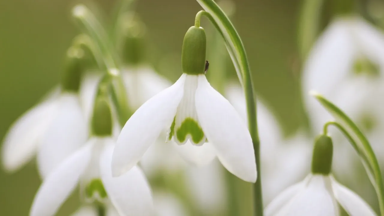 Фото: pxhere.com