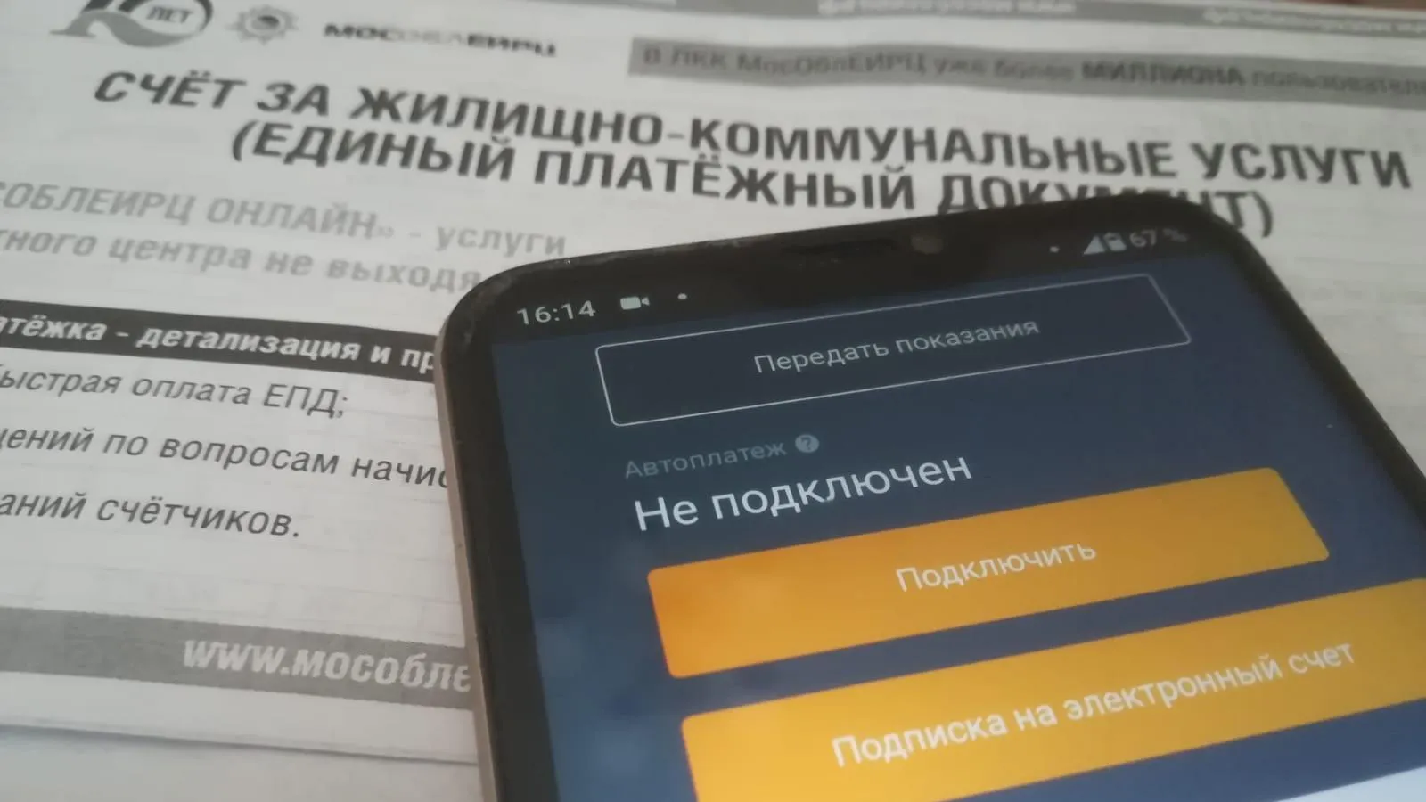 Фото: Татьяна Синельникова