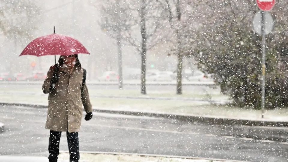 Фото: РИА Новости/Владимир Федоренко