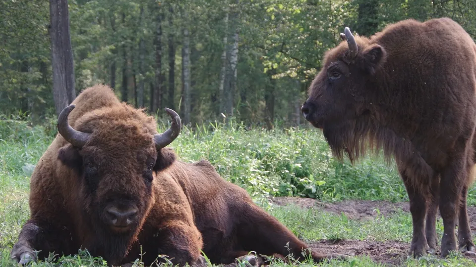 Фото: Ольга Калинина