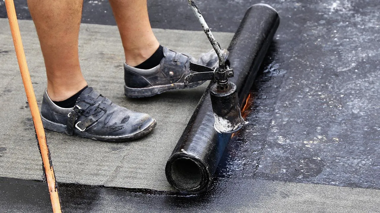 Фото: istockphoto.com/U. J. Alexander