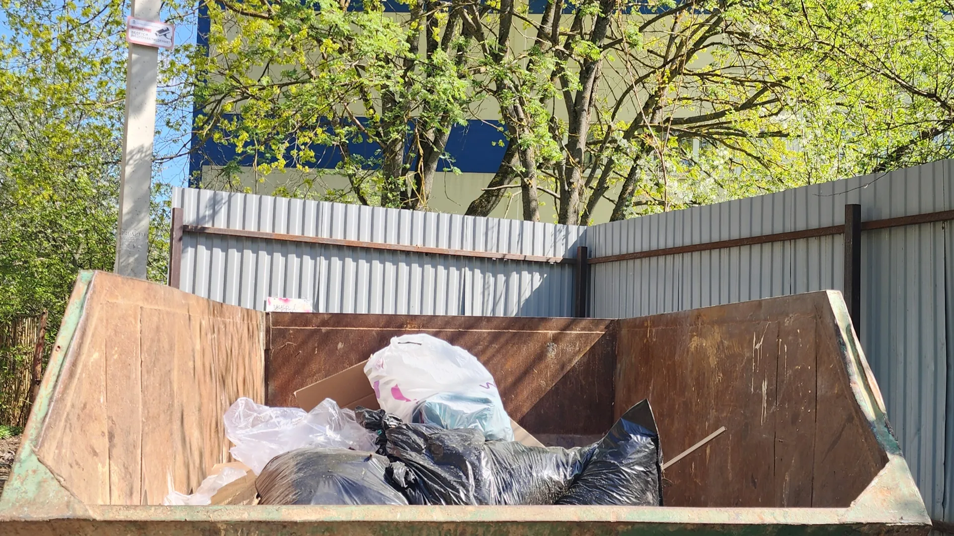 Фото: Фонина Хавива