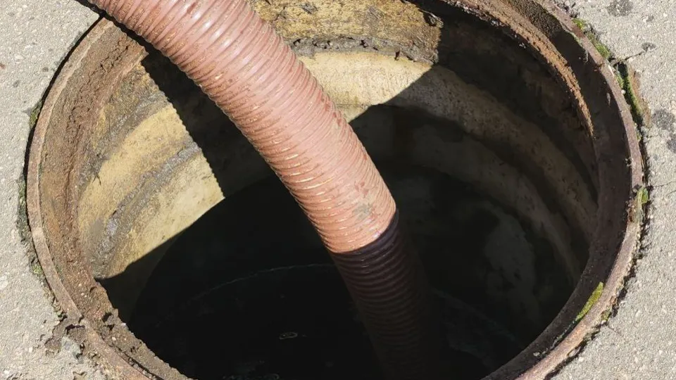 Фото: МедиаБанк Подмосковья/Наталья Лымарь