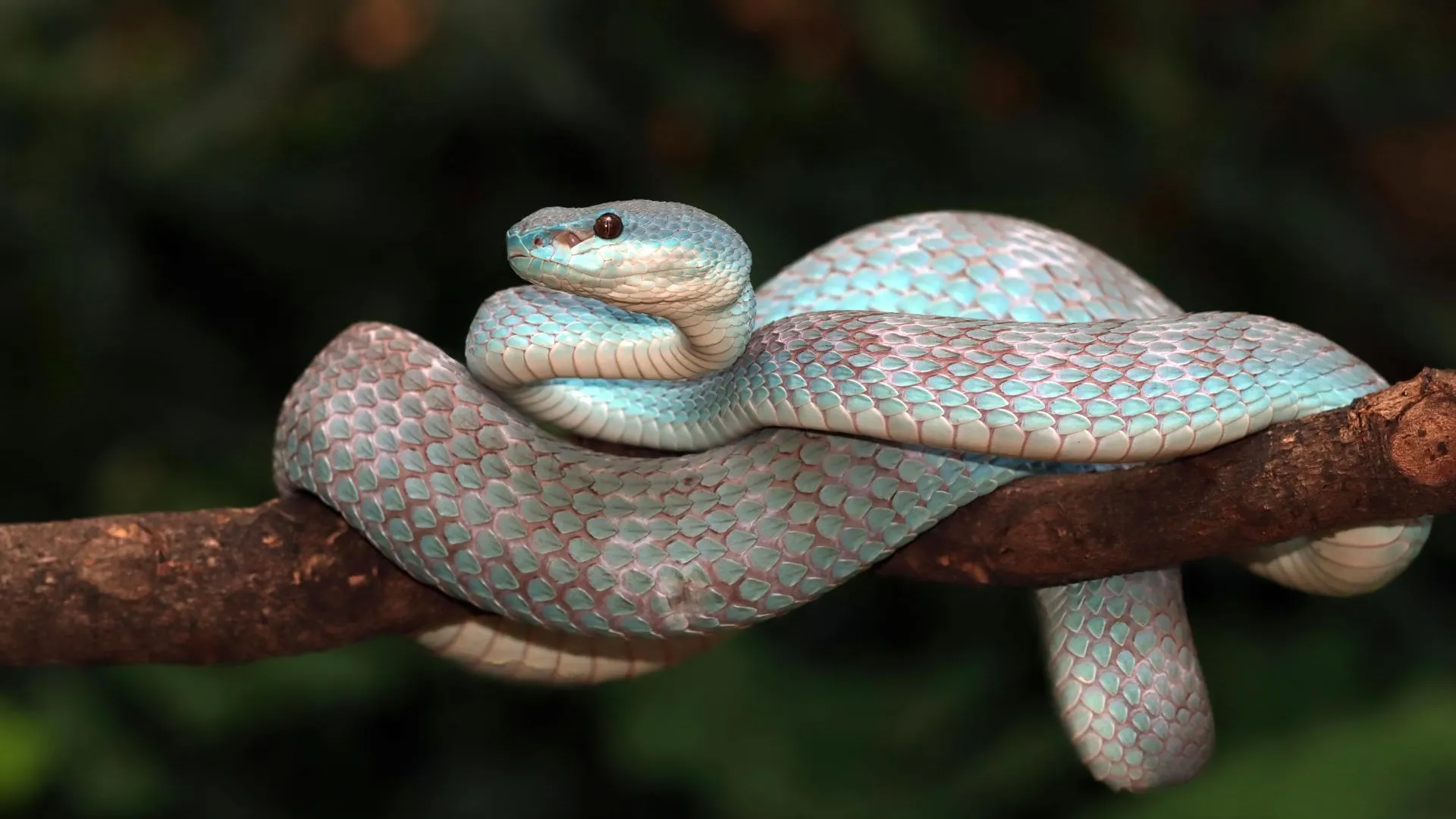 Фото: ru.freepik.com