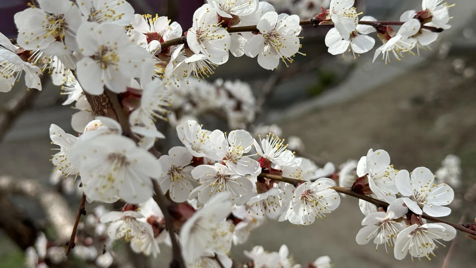 REGIONS/Александр Легкий