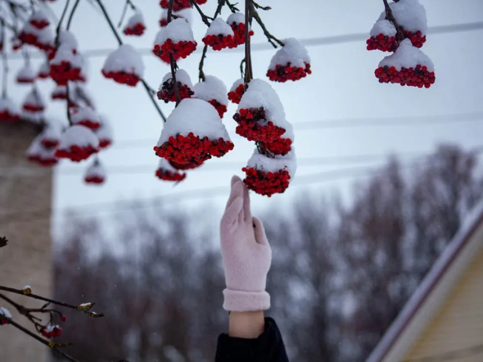 Фото: REGIONS/Дарья Левкина