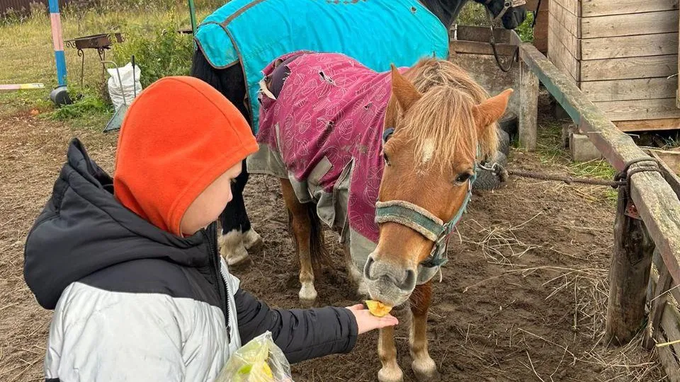 Министерство социального развития Московской области