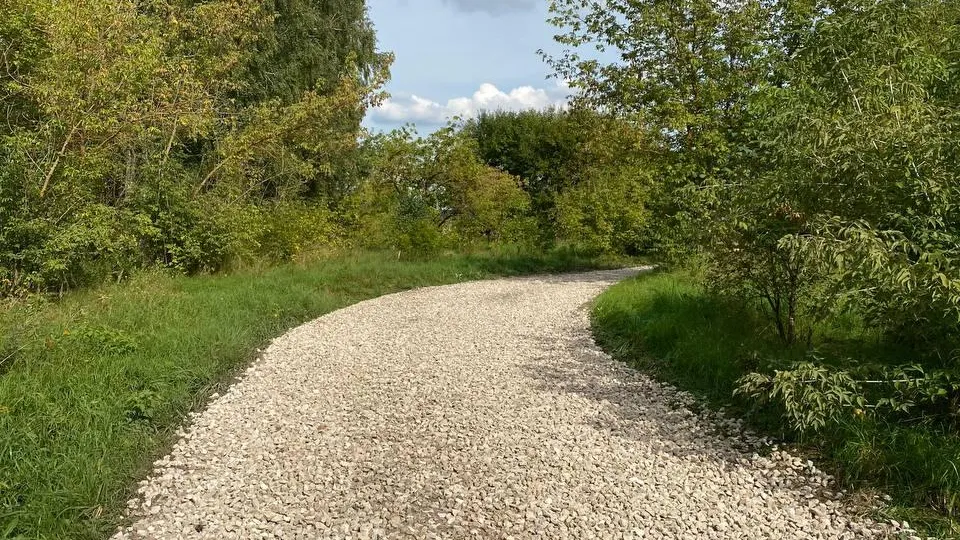 Фото: Пресс-служба администрации г.о. Кашира