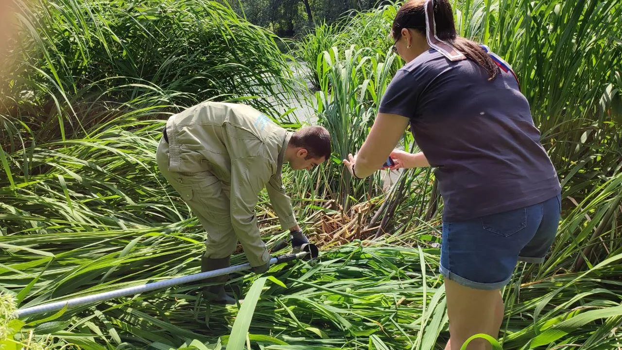 Фото: Минэкологии Московской области
