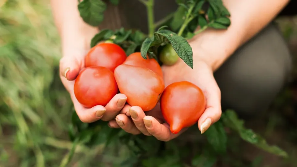 Фото: freepik.com