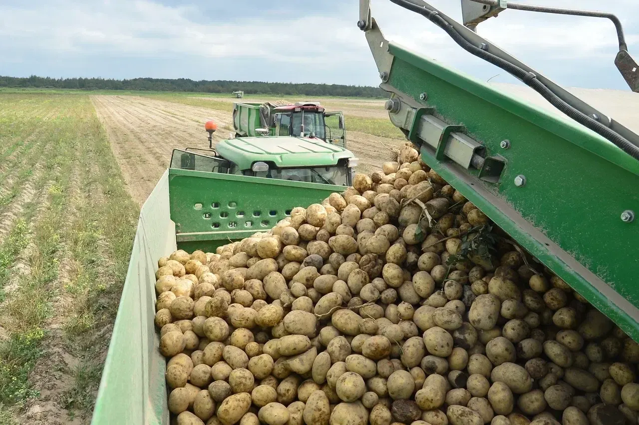 Фото: Никита Немира