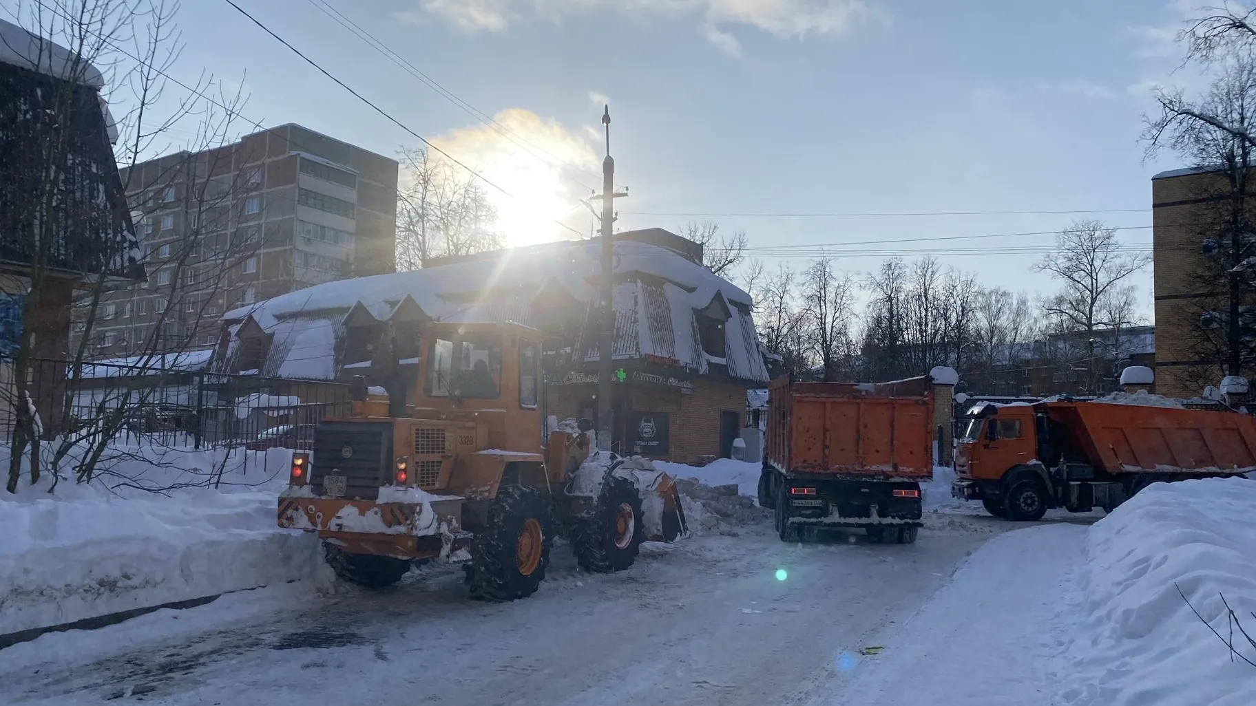 Анна Артюшина