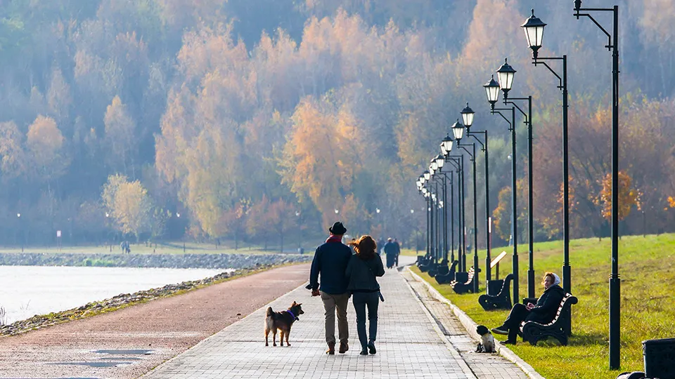 Фото: ТАСС/Михаил Метцель