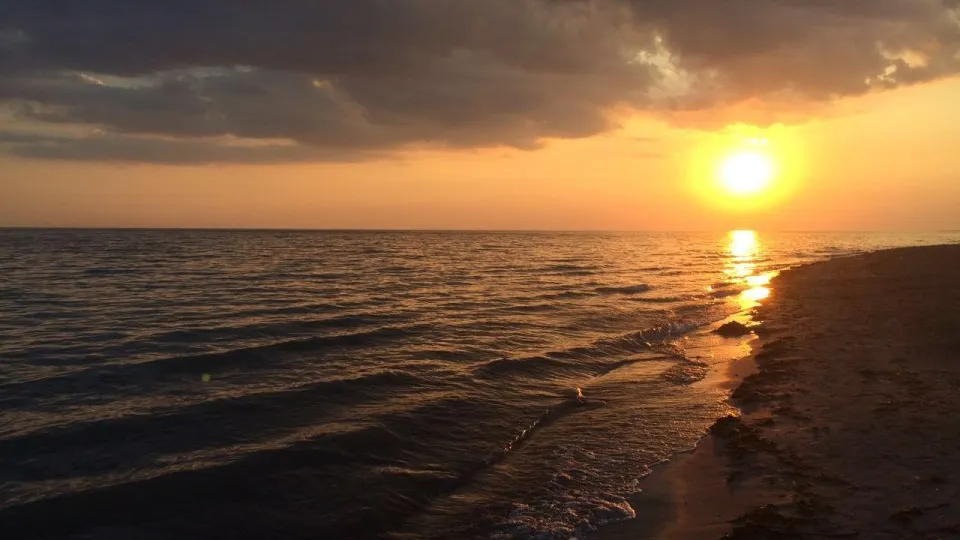 Фото: REGIONS/Илья Попов