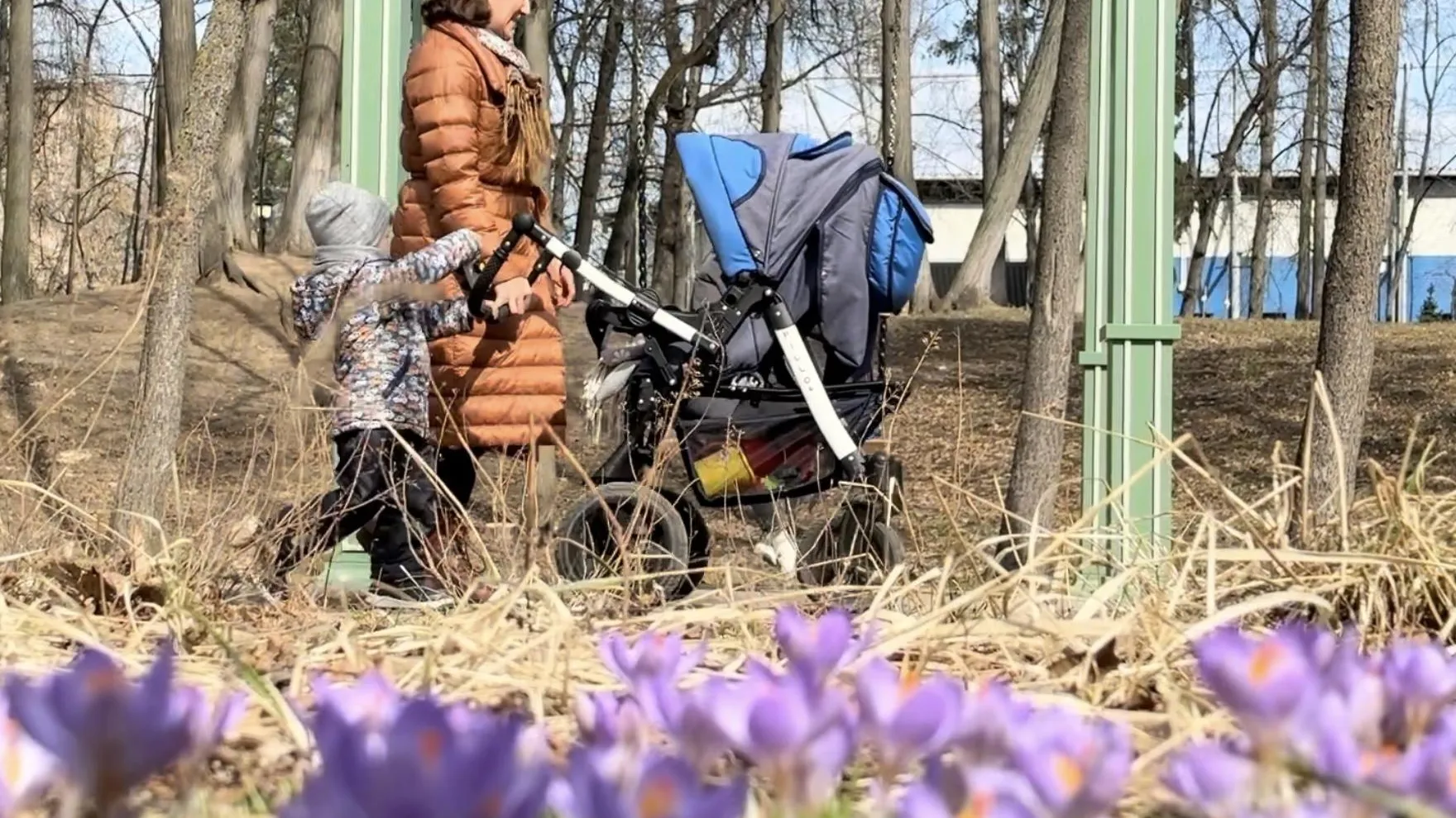 Фото: Ольга Стаферова