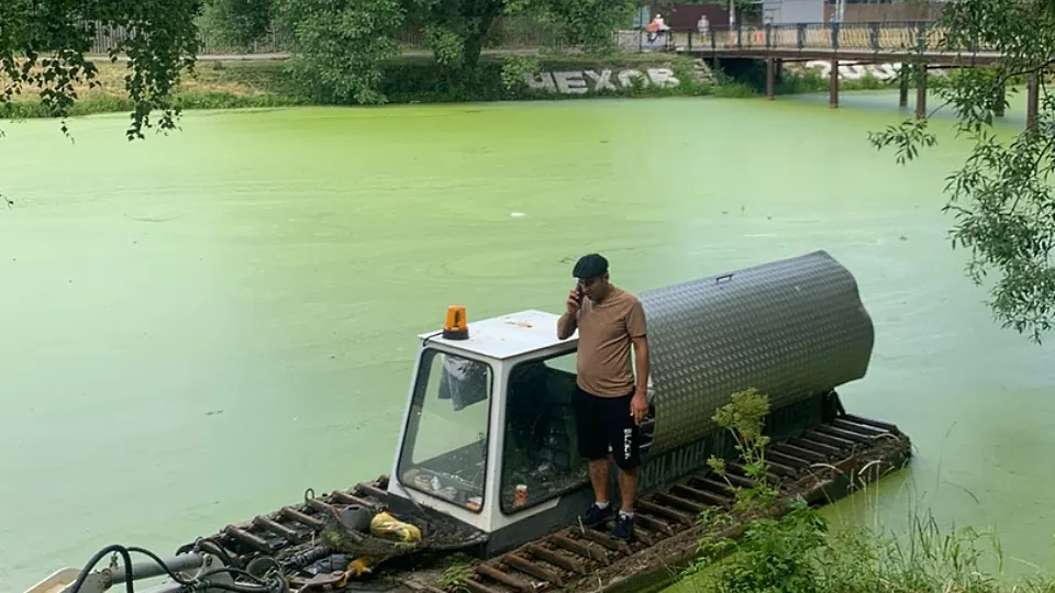 Фото: Администрация г.о. Чехов