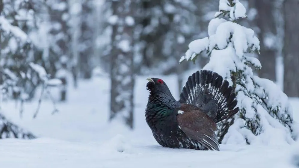 Фото: proeveryday.ru