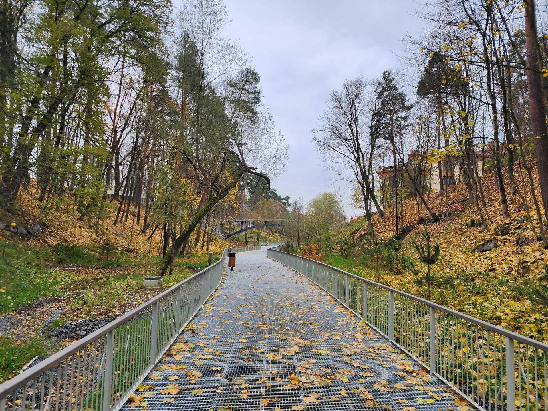 Хавива Фонина / Малиновый овраг