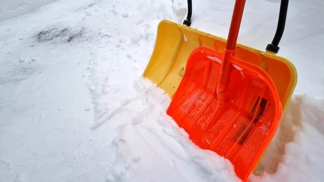 REGIONS/Юлия Алабина