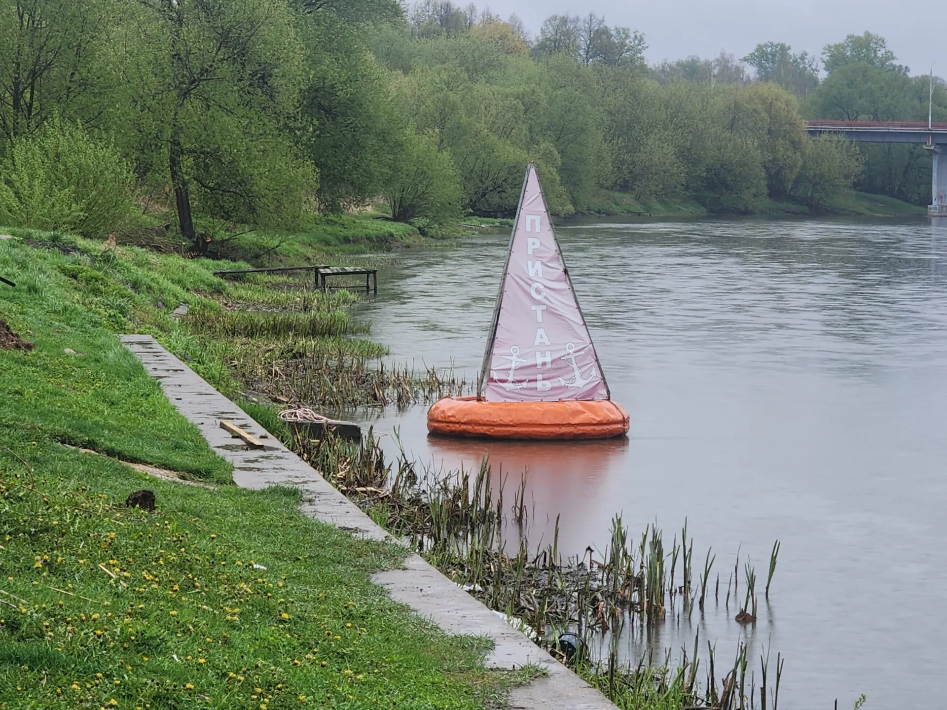 Фото: Хавива Фонина