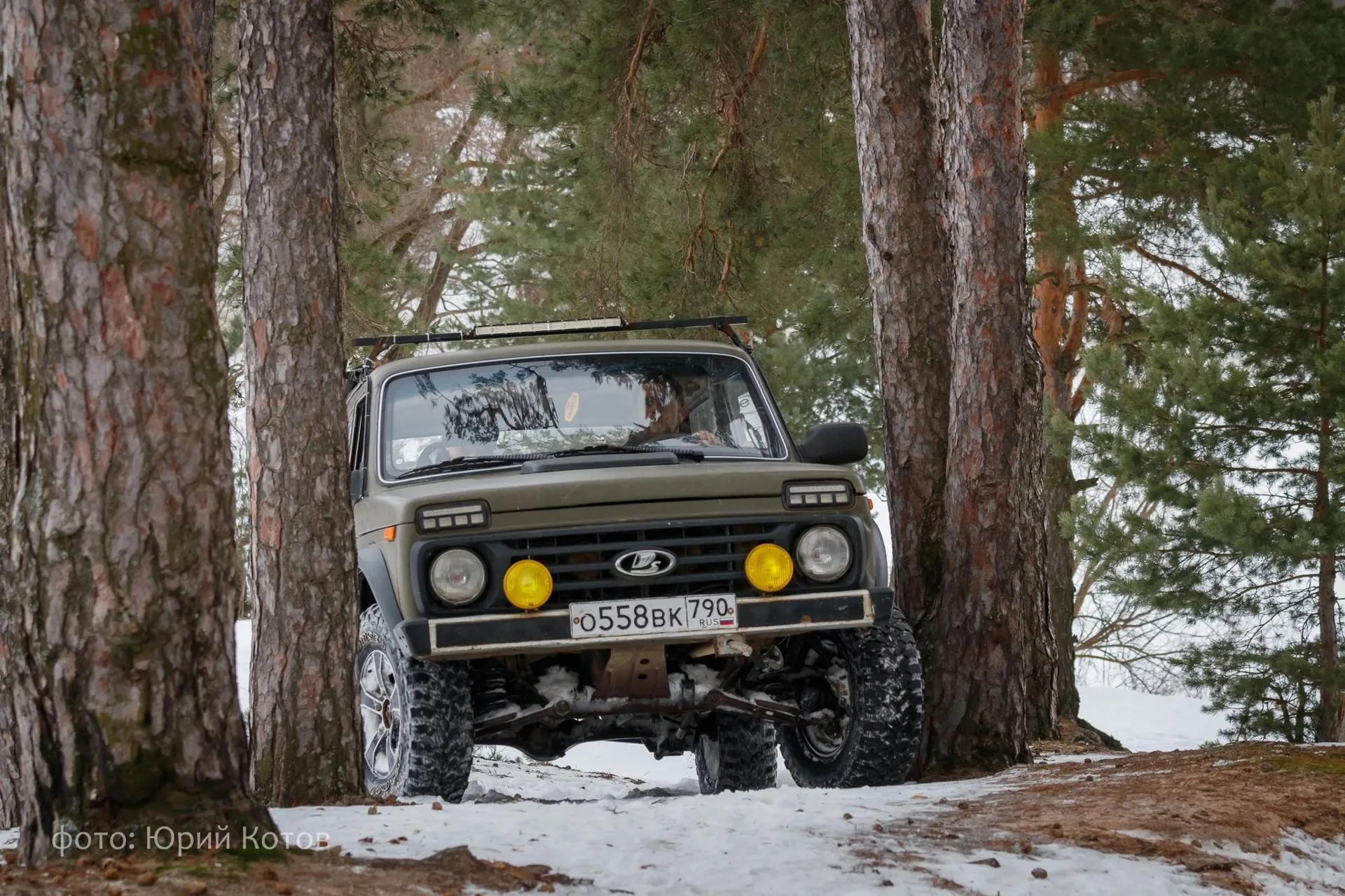 Фото: Юрий Котов