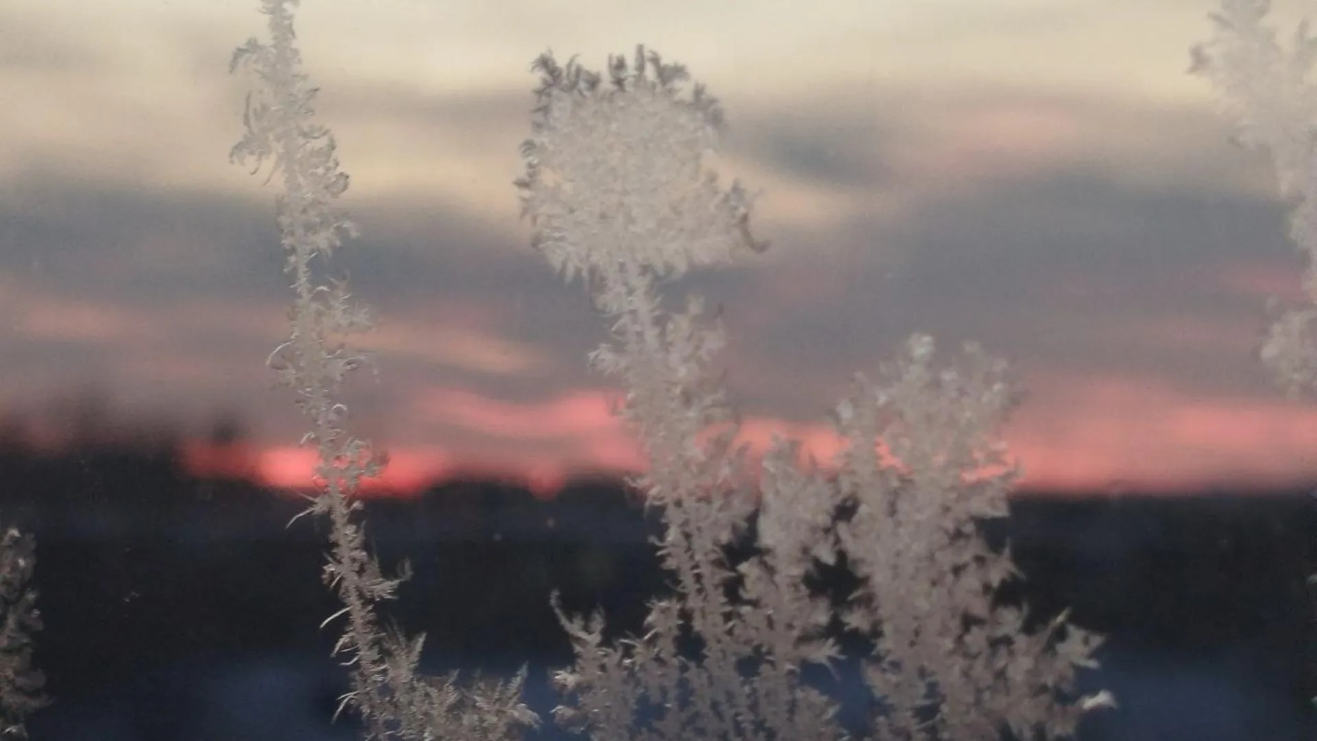 REGIONS/Юлия Куделькина