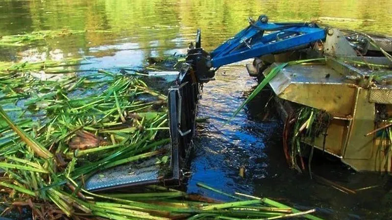 В деревне Токарево очистят пруд от кустарника и мелколесья