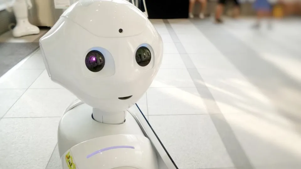 Фото: unsplash.com