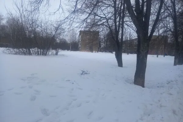 Фото: пресс-служба администрации г.о. Зарайск