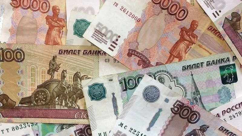 Большую сумму денег выкрали из коттеджного поселка в Истре