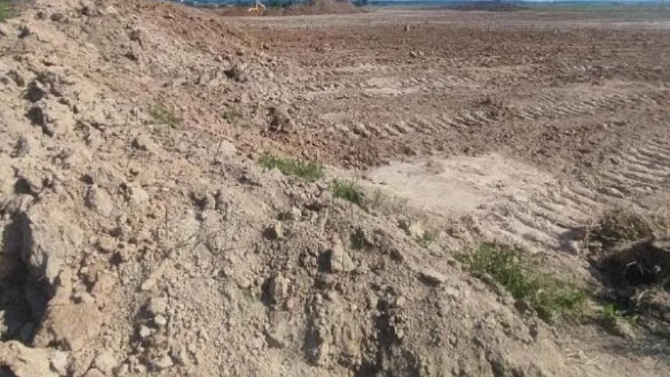 Фото: Министерство экологии и природопользования Московской области